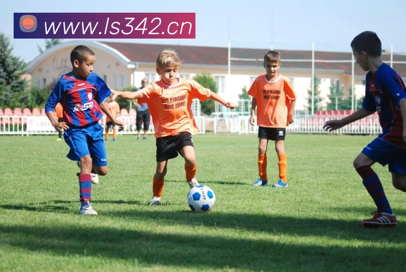 开云kaiyun入口发展历程